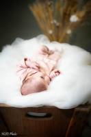 Hervé DIOLOGENT - HSD PHOTO